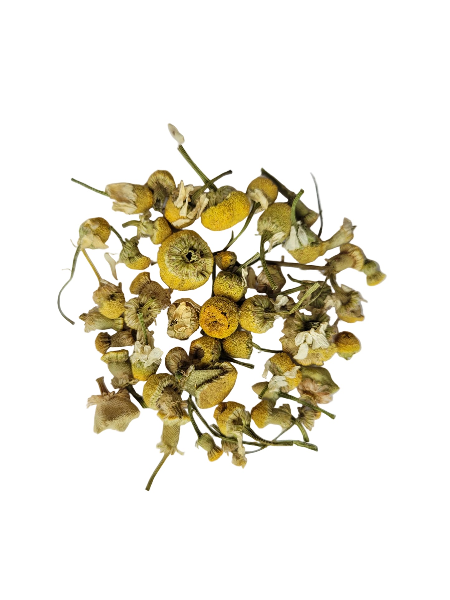 Camomile Egypt